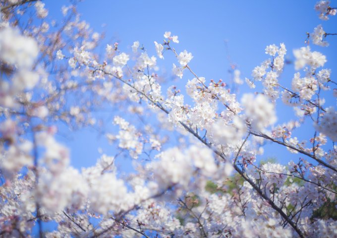 TSU87_shinseikatu