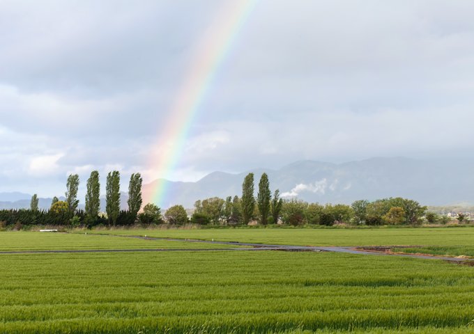 GAK_tanbokaramiji