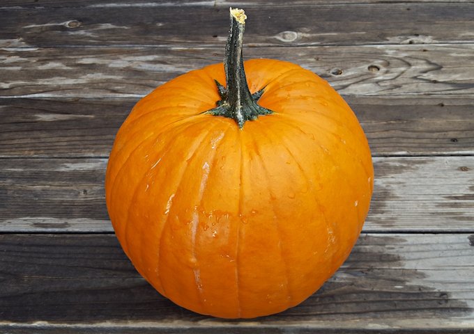 pumpkin-1000497_1280