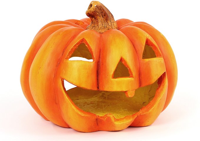 ハロウィン巨大かぼちゃの種類は？種から育て方は？ | フククル