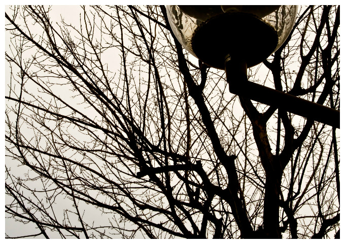 1fotorcreated