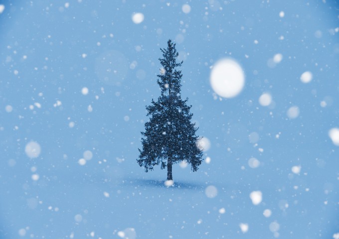 OHT99_yukihurucrtree