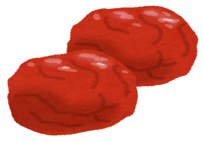 food_umeboshi