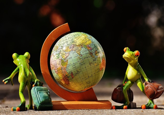 frogs-1674110_1280