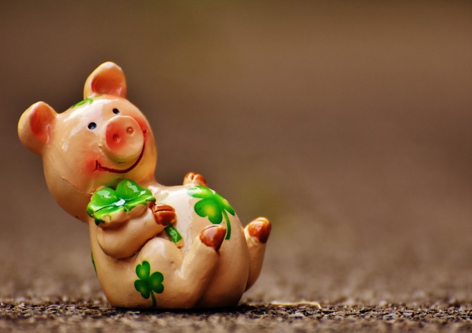 lucky-pig-1690947_1280