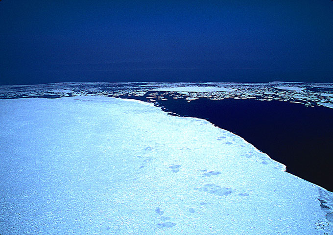 どこから 流氷 北海道 の 北海道の流氷はどこでいつからいつまで見れる？見れないこともある？