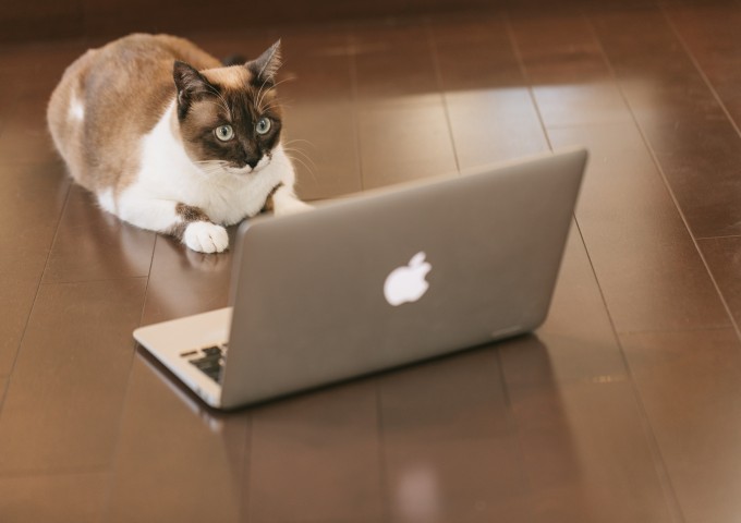 CAT9V9A9145