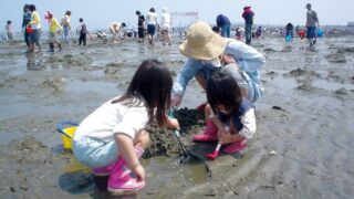 潮干狩り 三重県 穴場スポット4選2021 無料の場所は有るの ページ 2 フククル